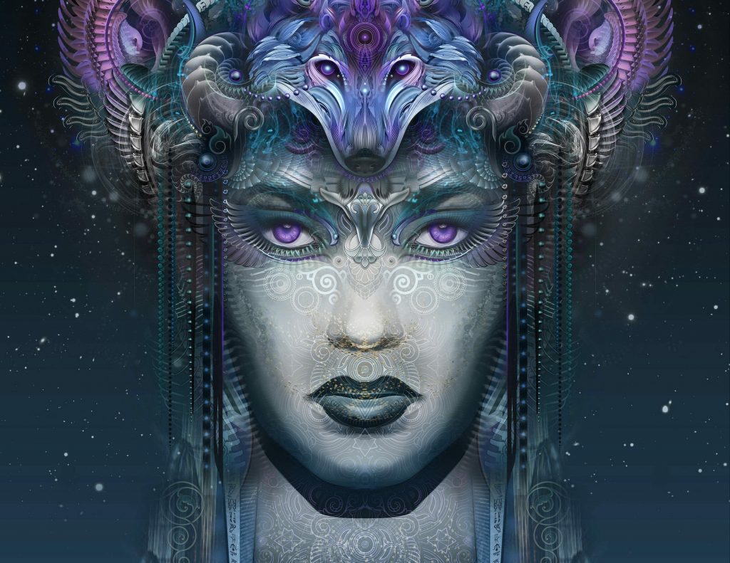 Okami / 狼 Canvas - Image 3