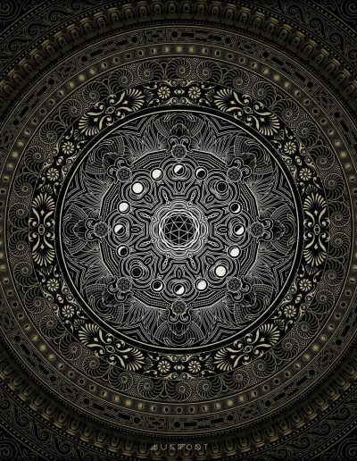 Nocturne | Mugwort Designs