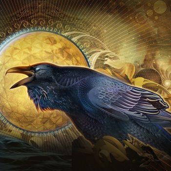 Raven | Mugwort Designs