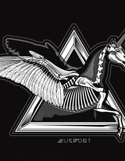 Unipegasus Anatomy | Mugwort Designs